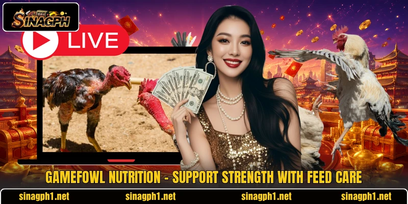 Gamefowl Nutrition - Support Strength With Feed Care